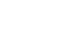 icon service and maintenance